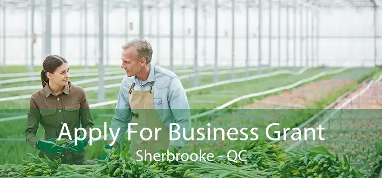 Apply For Business Grant Sherbrooke - QC